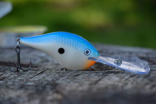 Rapala Rapala Dives to 04 Fishing Lure