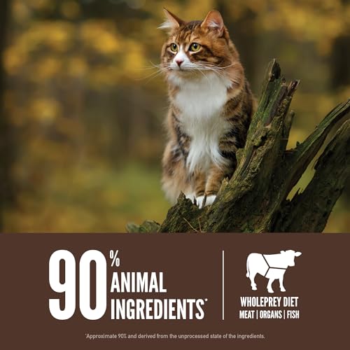 ORIJEN Grain Free High Protein Premium Dry Cat Food Original Recipe, 4lb Bag