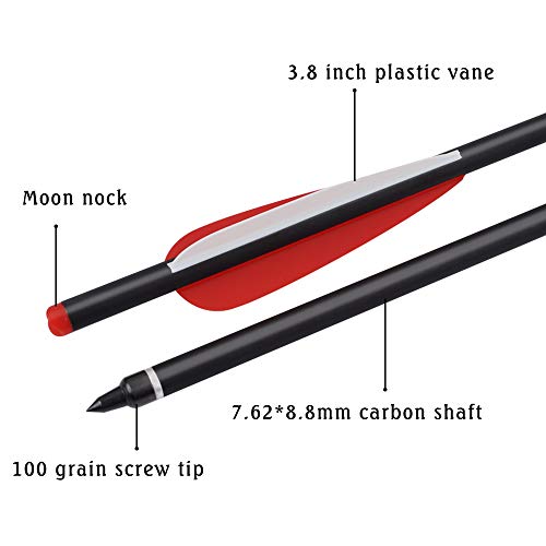 Carbon Crossbow Bolts 16 18 20 Inch Hunting Archery Arrows with 4" Vanes Replaced Arrowhead Tip (Pack of 12)