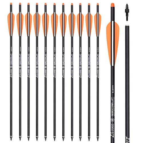 Carbon Crossbow Bolts 16 18 20 Inch Hunting Archery Arrows with 4" Vanes Replaced Arrowhead Tip (Pack of 12)