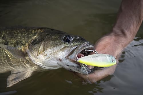Berkley Choppo Fishing Hard Bait