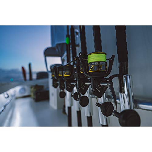 PENN Battle IV Spinning Reel and Fishing Rod Combo