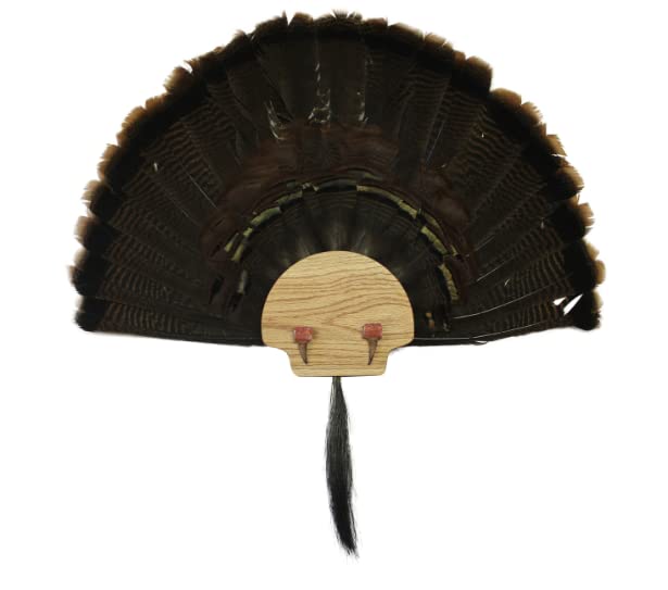 Esh Turkey Fan Mount Kit - Customized State Turkey Tail Mounting Plaque - Natural Oak Wood - Standard