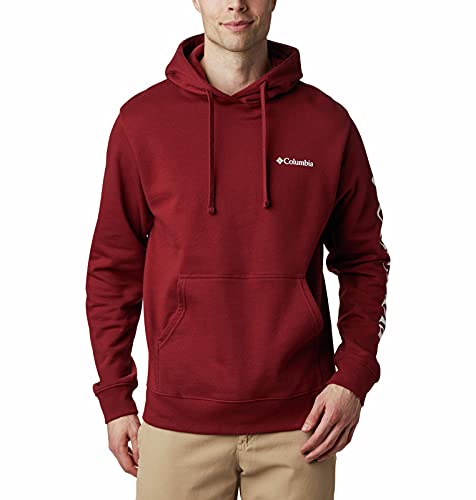 Columbia Men's Viewmont Ii Sleeve Graphic Hoodie