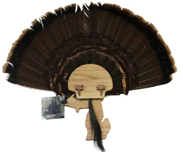 Esh Turkey Fan Mount Kit - Customized State Turkey Tail Mounting Plaque - Natural Oak Wood - Standard