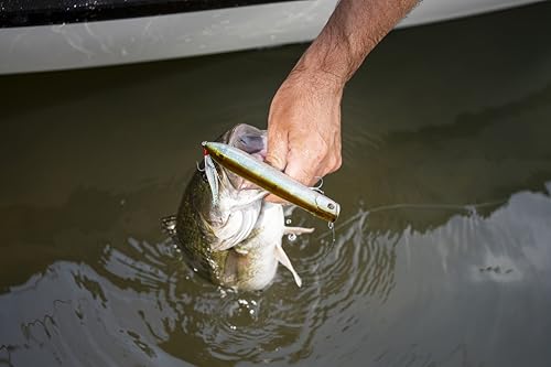 Berkley Choppo Fishing Hard Bait