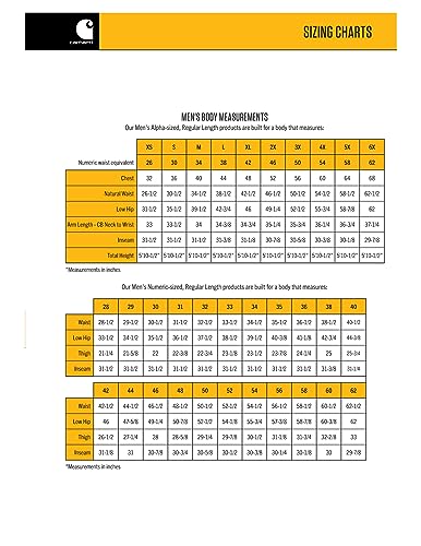 Carhartt Men's Relaxed Fit Duck BlanketLined Detroit Jacket