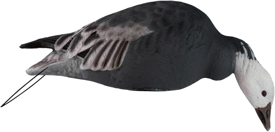 Hardcore Waterfowl Rugged Series Full Body Snow and Blue Goose Touchdown Decoys 12-Pack