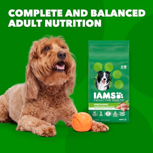 IAMS Proactive Health Minichunks Adult Dry Dog Food with Real Chicken, 30 lb. Bag