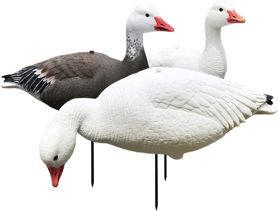 White Rock EVAC Fullbody Snow/Blue Goose Decoy Combo - 12 Pack