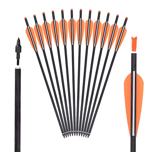 Carbon Crossbow Bolts 16 18 20 Inch Hunting Archery Arrows with 4" Vanes Replaced Arrowhead Tip (Pack of 12)