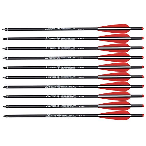 Carbon Crossbow Bolts 16 18 20 Inch Hunting Archery Arrows with 4" Vanes Replaced Arrowhead Tip (Pack of 12)