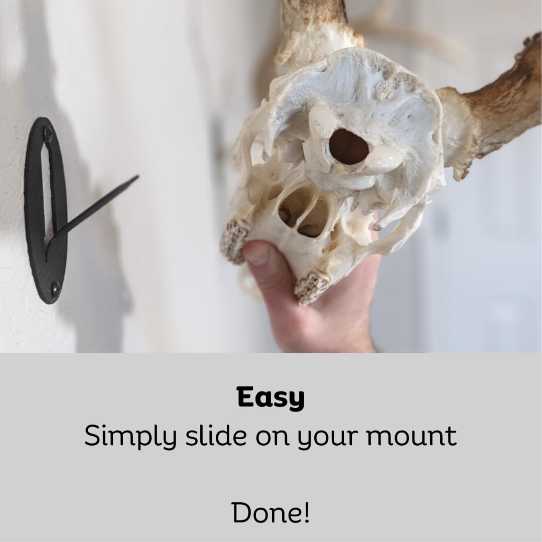 Easy European Mount Skull Hanger - Made in The USA with American Steel - Whitetail Deer Skull Hook mounting System - Euro Mount kit - Quick Install - Hog Bear Antelope Coyote