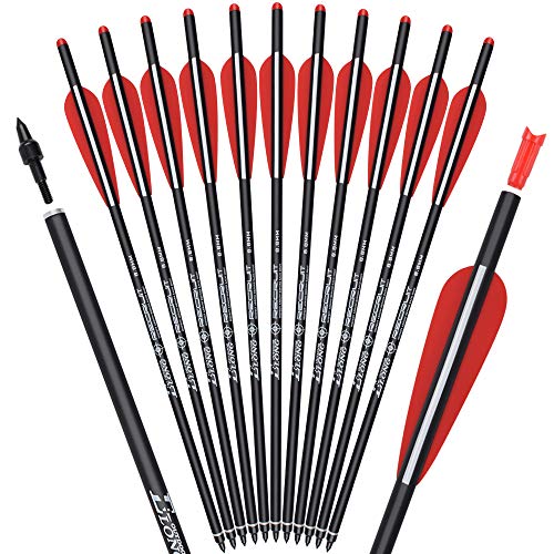 Carbon Crossbow Bolts 16 18 20 Inch Hunting Archery Arrows with 4" Vanes Replaced Arrowhead Tip (Pack of 12)