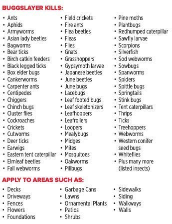 Bugg Insecticide - Concentrate - Outdoor Box Elder Bugs, Stink Bugs, Asian Lady Beetles - 16 oz Bottle