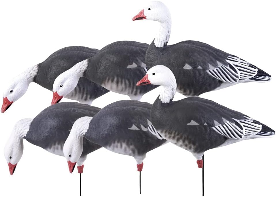 greenhead gear GHG Pro Grade Full Body Blue Goose Harvester Decoys 6 Pack
