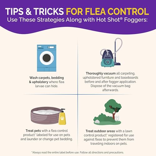 Hot Shot Bed Bug & Flea Fogger Pack 3-Pack, Kills Bed Bugs and Fleas Indoors, Get Rid of Fleas In House, Inhibits Reinfestation Up to 7 Months
