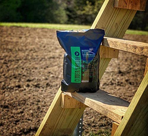 Shady Patch | All Year Deer Feeder | No Plow Food Plot Seed for Deer | Deer Food Plot Seed | White Clover Winfred Forage Brassica Rye Grass Rape Seeds| 5 lb Bags | 3-Pack
