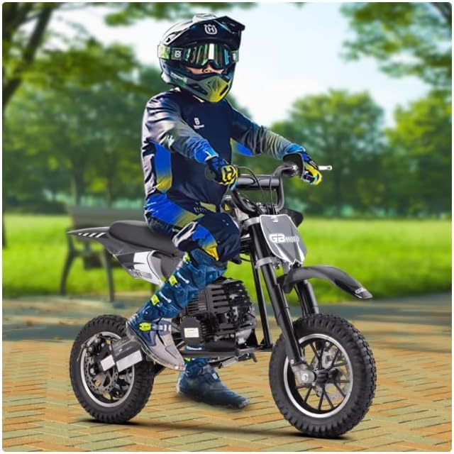 49CC 2-Stroke Gas Power Mini Dirt Bike Dirt Off Road Motorcycle (Red)