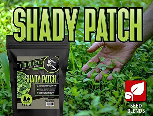 Shady Patch | All Year Deer Feeder | No Plow Food Plot Seed for Deer | Deer Food Plot Seed | White Clover Winfred Forage Brassica Rye Grass Rape Seeds| 5 lb Bags | 3-Pack