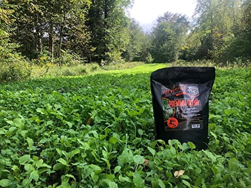 Shady Patch | All Year Deer Feeder | No Plow Food Plot Seed for Deer | Deer Food Plot Seed | White Clover Winfred Forage Brassica Rye Grass Rape Seeds| 5 lb Bags | 3-Pack