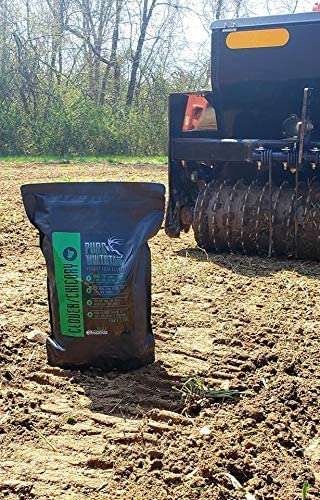 Shady Patch | All Year Deer Feeder | No Plow Food Plot Seed for Deer | Deer Food Plot Seed | White Clover Winfred Forage Brassica Rye Grass Rape Seeds| 5 lb Bags | 3-Pack