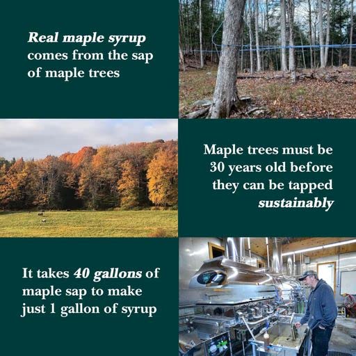 Vermont Maple Syrup - 64 oz Grade A, Golden Delicate Organic Maple Syrup - 100% Pure and Authentic Maple Syrup for Pancakes, Waffles and More - Nut free, Gluten Free, Vegan, Paleo