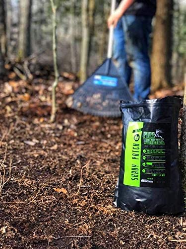 Shady Patch | All Year Deer Feeder | No Plow Food Plot Seed for Deer | Deer Food Plot Seed | White Clover Winfred Forage Brassica Rye Grass Rape Seeds| 5 lb Bags | 3-Pack
