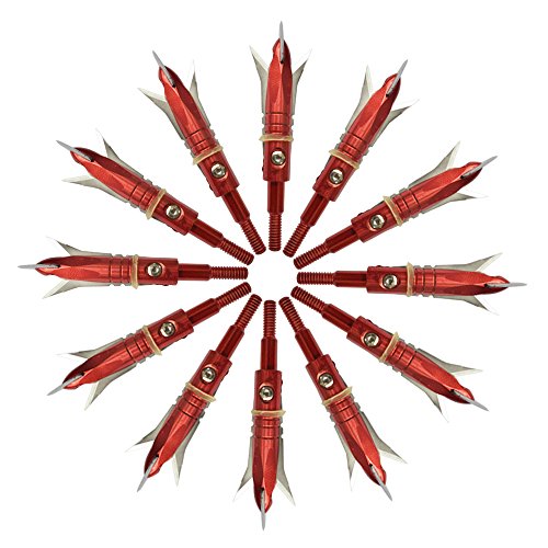 12pcs Hunting Broadheads 100 Grain Archery Broadheads New Stell Broadheads + 1 pcs Black Broadhead Case for Arrowheads