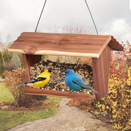 Kaytee Wild Bird Food, Summer Nesting Seed Blend, 8 lb
