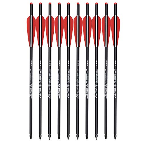 Carbon Crossbow Bolts 16 18 20 Inch Hunting Archery Arrows with 4" Vanes Replaced Arrowhead Tip (Pack of 12)