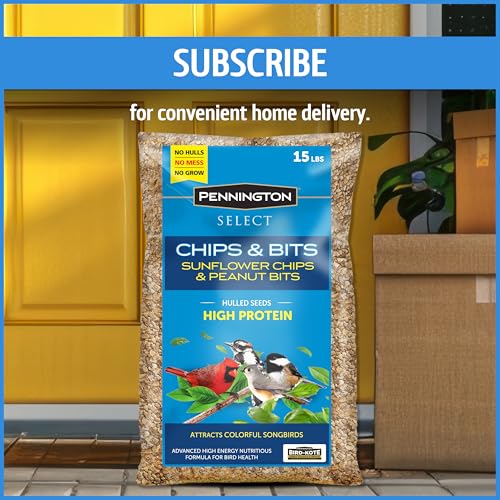 Pennington Pride Songbird Nut & Fruit Blend, Wild Bird Seed for Outside Feeders, Advanced Nutrition Formula for Bird Health, 10-lb. Bag