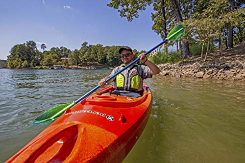 Perception Flash 9.5 | Sit Inside Kayak | Rod Holders and Rear Storage | 9' 6"