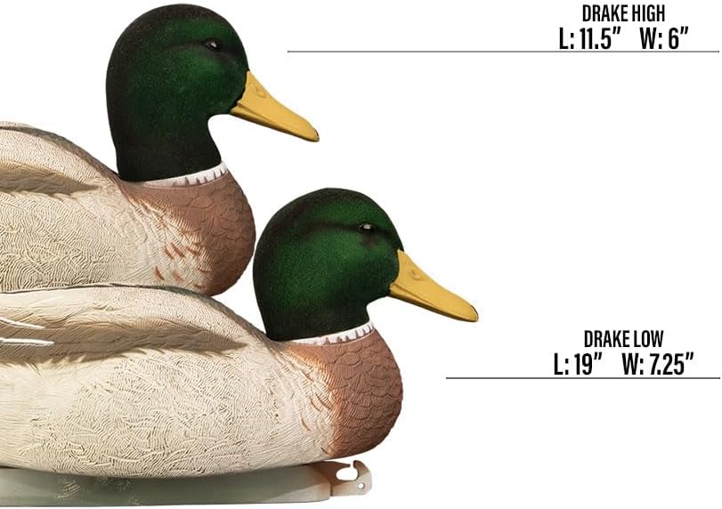 Higdon Outdoors Magnum Mallard Duck Decoys, All Drakes, Foam-Filled
