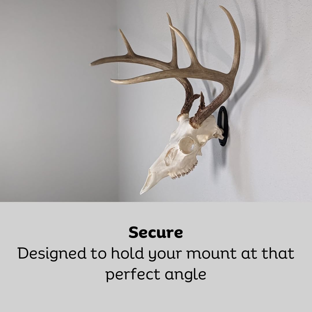 Easy European Mount Skull Hanger - Made in The USA with American Steel - Whitetail Deer Skull Hook mounting System - Euro Mount kit - Quick Install - Hog Bear Antelope Coyote