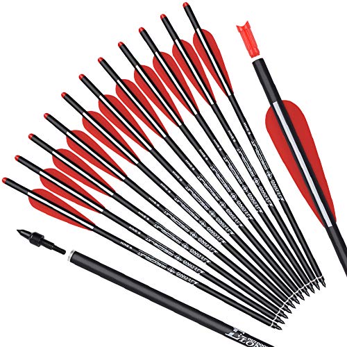 Carbon Crossbow Bolts 16 18 20 Inch Hunting Archery Arrows with 4" Vanes Replaced Arrowhead Tip (Pack of 12)