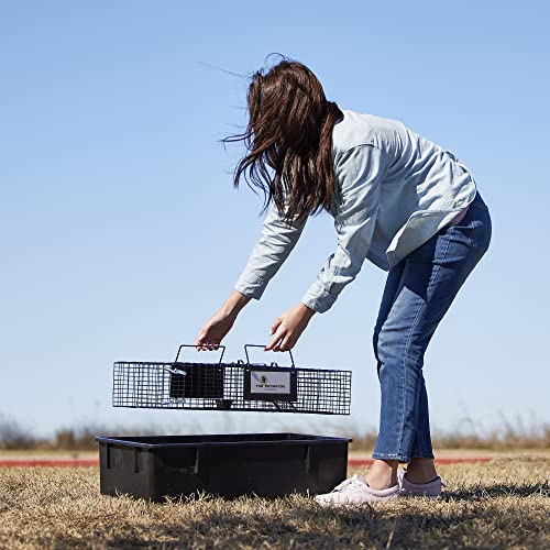 Rugged Ranch Live Chipmunk Trap, Catch & Release Cage, Large, Chipmunkinator