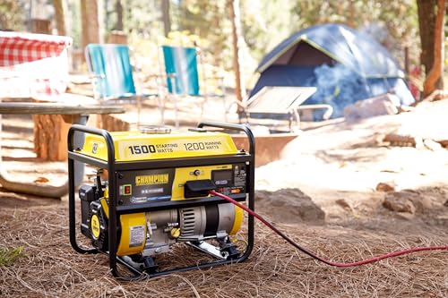 Champion Power Equipment 4375-Watt RV Ready Portable Generator with CO Shield