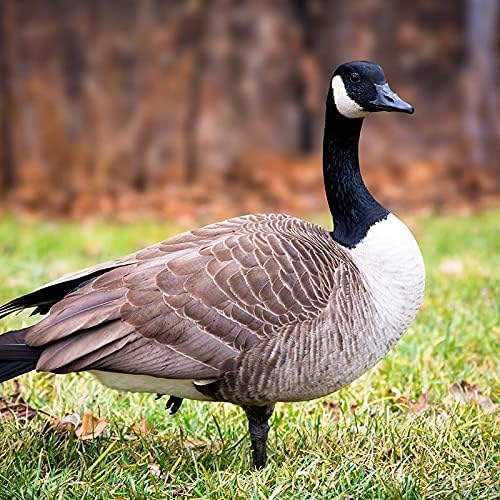 Haydel's Game Calls Inc. H-81 AMZ Canada Honker