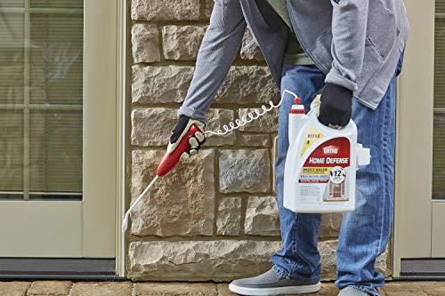Ortho Home Defense Insect Killer for Indoor & Perimeter2 - With Comfort Wand, Long-Lasting Control, Kills Ants, Cockroaches, Spiders, Fleas & Ticks, Non-Staining, Odor Free, 1.1 gal., 2-Pack