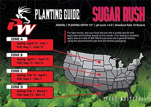 Shady Patch | All Year Deer Feeder | No Plow Food Plot Seed for Deer | Deer Food Plot Seed | White Clover Winfred Forage Brassica Rye Grass Rape Seeds| 5 lb Bags | 3-Pack