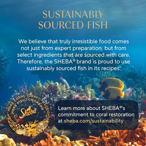Sheba Perfect Portions Wet Cat Food Pate with Sustainable Salmon, Signature Seafood Entree, and Tender Whitefish and Tuna Entree Variety Pack, 2.6 oz. Twin Pack Trays (24 Count, 48 Servings)