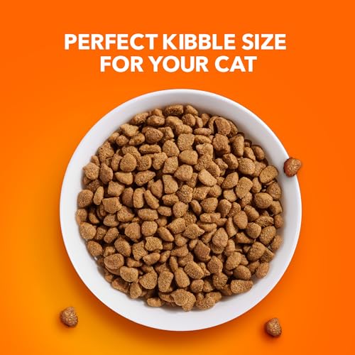 IAMS Proactive Health Indoor Weight Control & Hairball Care Adult Dry Cat Food, Chicken & Turkey Recipe, 22 lb. Bag