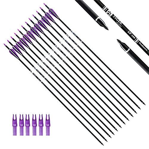 30Inch Carbon Arrow Practice Hunting Arrows with Removable Tips for Compound & Recurve Bow(Pack of 12)