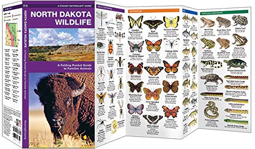 North Dakota Wildlife: A Folding Pocket Guide to Familiar Animals (Nature Observation North America)