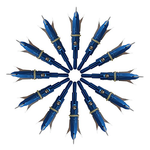 12pcs Hunting Broadheads 100 Grain Archery Broadheads New Stell Broadheads + 1 pcs Black Broadhead Case for Arrowheads
