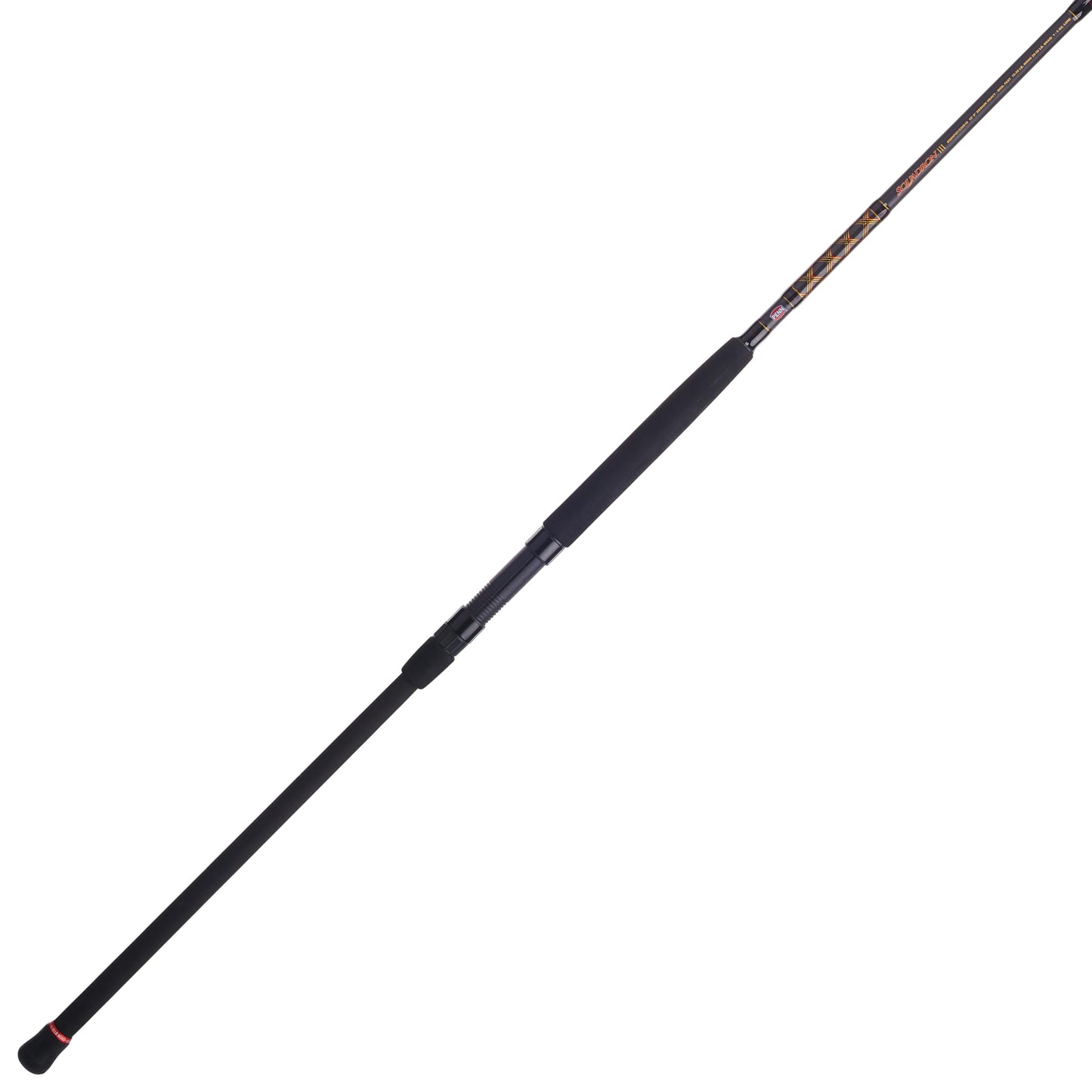 PENN Squadron III Surf Spinning Fishing Rod