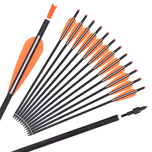Carbon Crossbow Bolts 16 18 20 Inch Hunting Archery Arrows with 4" Vanes Replaced Arrowhead Tip (Pack of 12)