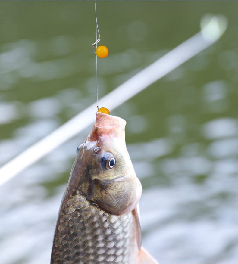 TPR Simulation Fake Corn Soft Baits Corn Carp Fishing Lures Floating Baits with Nice Scent for Carp,Trout Fishing,Cat Fish