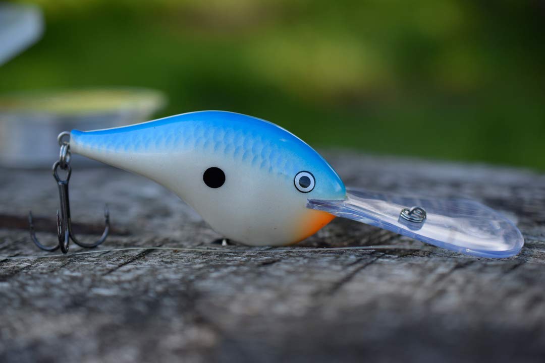Rapala Rapala Dives to 04 Fishing Lure